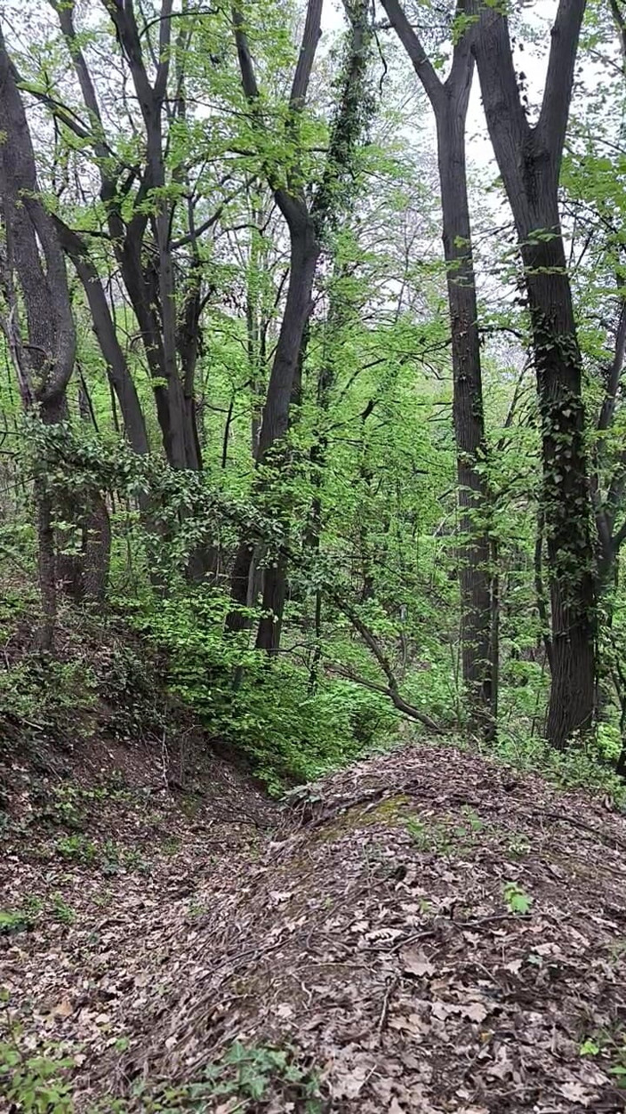 FenekManul: Little Naked Walk in the Forest