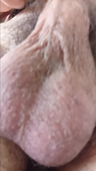Morning Boner and Masturbation, the Penis Breaks Out of Your Hand