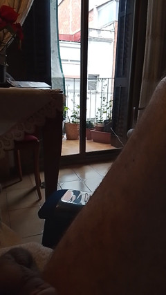 Beehive: 창문을 통해