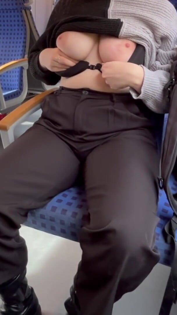 Crazy German Slut: Stranger Showed Me His Dick in Train