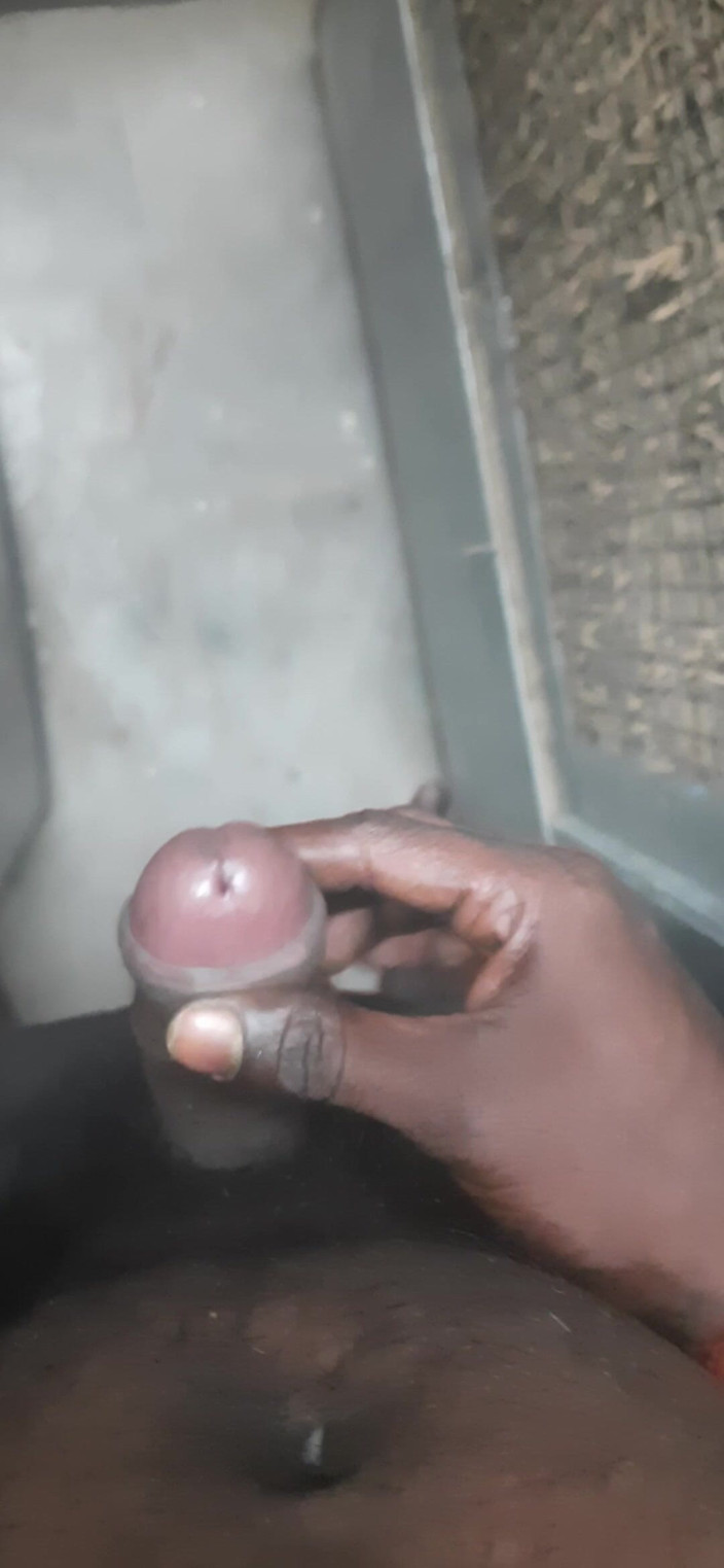 JoyfulPaw60: Dziś się masturbowałem.