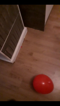 Immer Auf Die Kleinen Luftballons