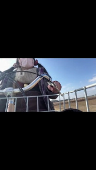 No.125 Cycling with Tack Part 3: Becoming the Wind on My Bike