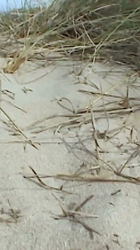 Amatoriale bionda lucy si eccita tra le dune