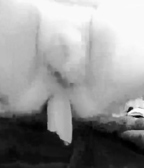 Northwoods Cock: Тренировка дилдо