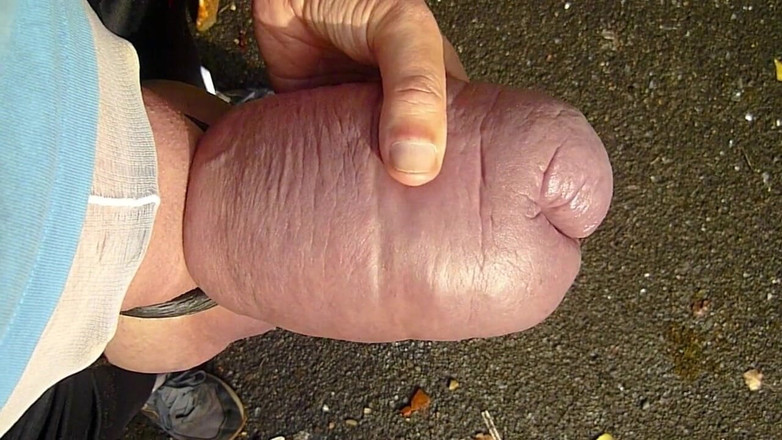 Monster Meat: Riskantní venku chcaní exib výstřední hra