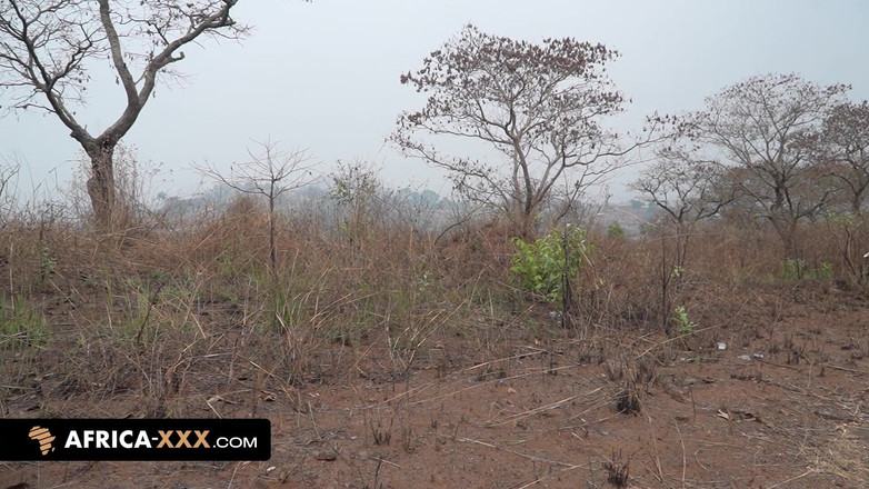 Africa-XXX: 거유 트리오