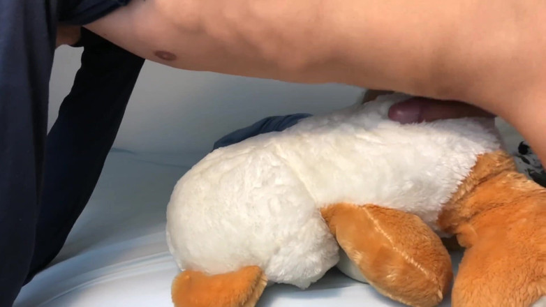 Heat boy: Teddy Orgasm Morning Dirty Talks Solo Cum