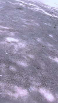 Video gợi cảm culanta làm tình