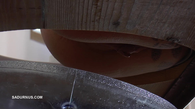 Sadurnus: Puan Cleo memancut air tandas ke dalam mulut hamba berbohong...