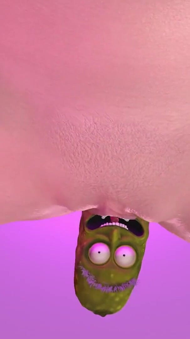 Pickle Rick Pickled That Ham (Wraith ward) Pickle Rick Pickled That Ham (Wraith ward)