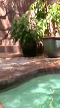 He Is Lying by the Pool When She Sits on His Cock