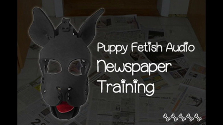 Campsissyboi: Puppy Fetish Newspaper Training