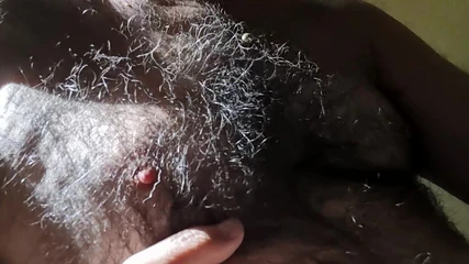 Beruang Panas Pada Waktu Pagi