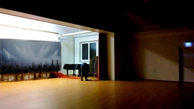 Mark Hannes: Швидка ризикована мастурбація в музичному залі