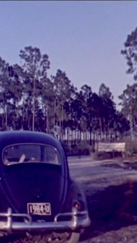 Dagboek van een nudisten (1961) - gerestaureerd en geremasterd in 4k