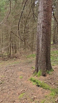 Riskabelt Sex I Skogen -, Ångande Sex Och Explosiv Orgasm