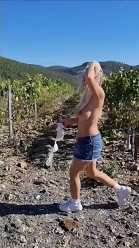 Parthouze în podgoriile Var