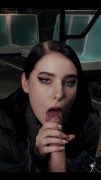 Bonita estranha me chupou no trem - Mollyredwolf
