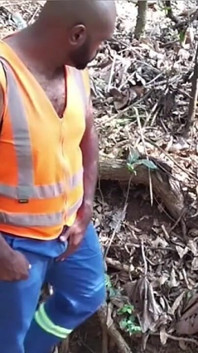 Worker Sucking in the Bush and Fucking His Coworker