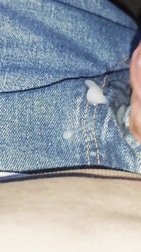 Schwanz in Levis 501 Jeans