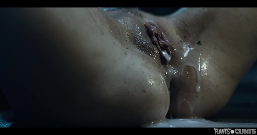 Plants vs Cunts: Bitkiler amcıklara karşı vol. 11