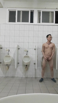 Nudity in Public Toilets