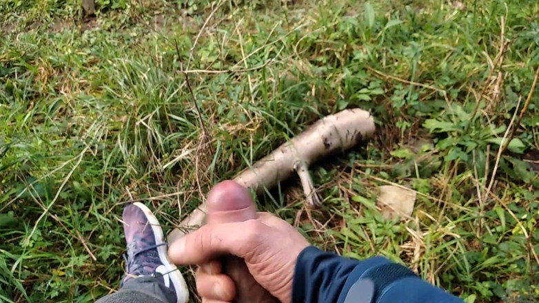 Elvissc: The Horny Stepfather Went on a Hike, When He Took...