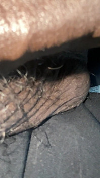 Des grosses noires dans la chair
