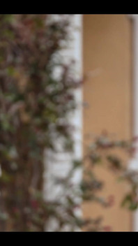 Swame Evi, Fransız Porno Gerçekliği