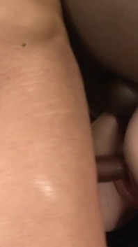 Des bites noires vigoureuses pour trois chattes sexy