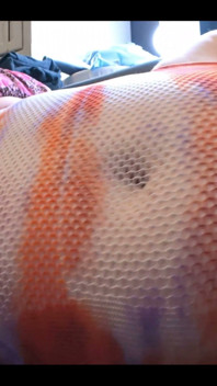 Nipples Cannot Be Contained ‍