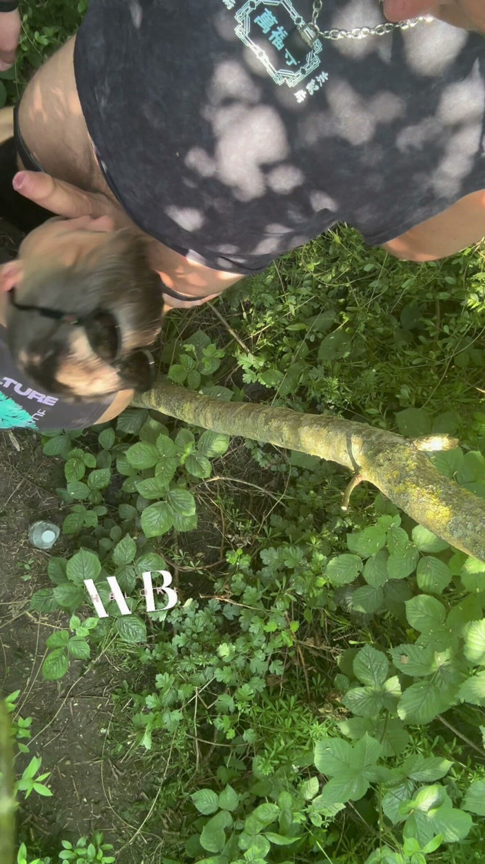 welsh_blokexxx: Cruisng Area BJ in the Woods