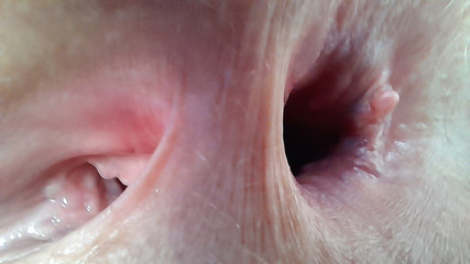 Lala Licious: Când am lărgit, Studio Miros