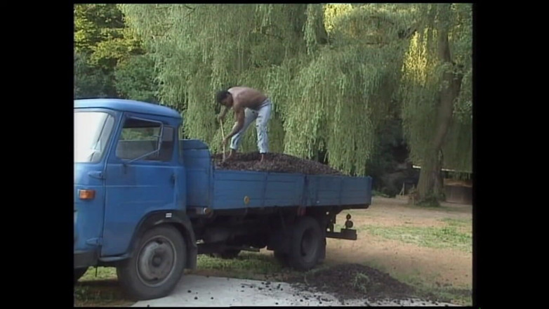 Deutschland porn: Blonde Hot MILF Seduced a Black Man Before She Suck...
