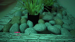 Neon2520: Shadows of Desire V0 7c, voie infidèle, mise à jour 07