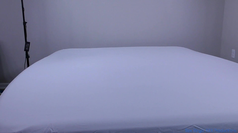 Rex Ringo XXX Productions: Raee Ripley