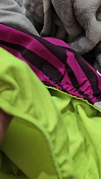 Cum in the Gusset of Nike Tempo Shorts