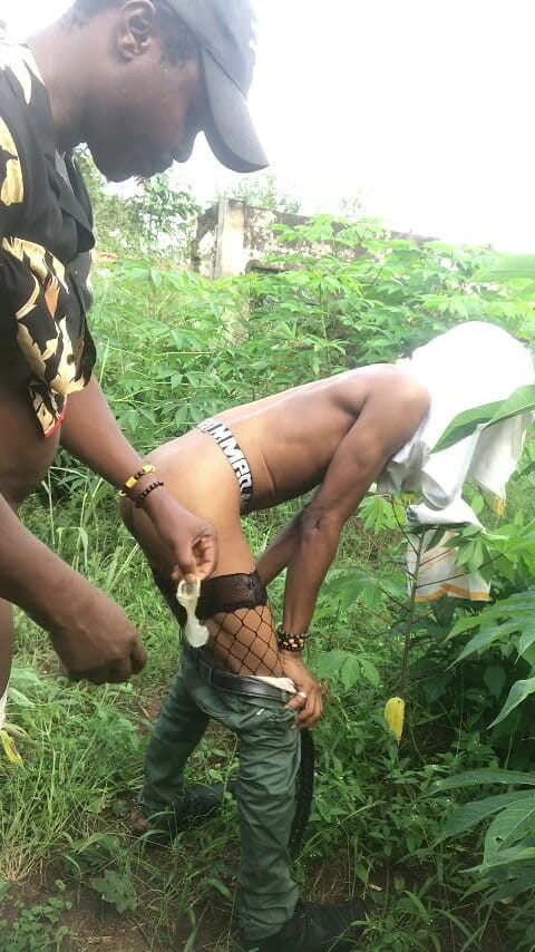 Sexydaddy: Sex auf dem Bauernhof Cassava