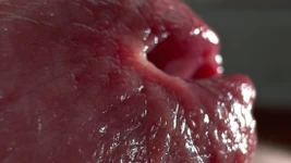 Crocodile Mouth Releases Fluid