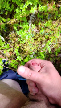 Horny in Forest