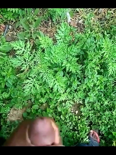 Haydenbbc: Haydenbbc