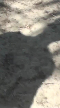 Chiavata in spiaggia