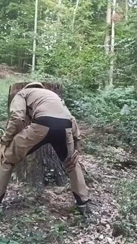 Vânătoarea pe un ciot, partea întâi