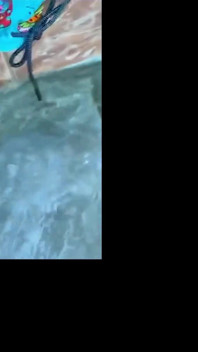 Whirlpool, schwanzlutschen