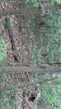 Kita berkongkek di dalam hutan jadi tiada siapa yang tahu kita lesbian