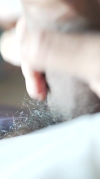 PAWg olandese succhia il bbc del patrigno