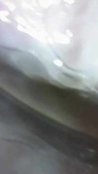 Una Fantasia Di Impregnazione in Cam