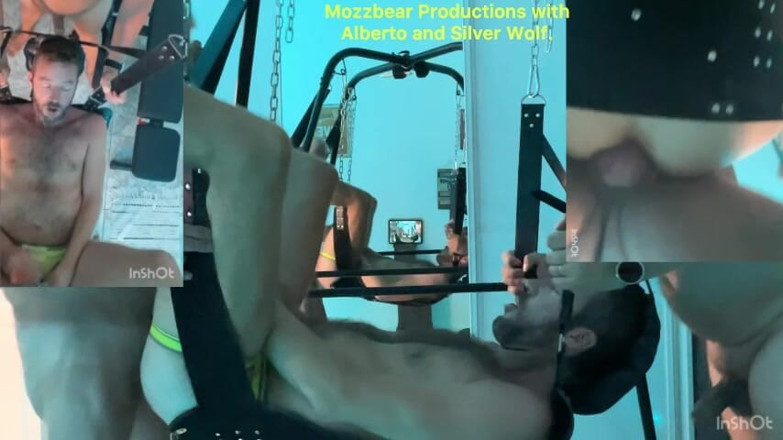 Mozzbear: พ่อกลับมาแล้ว!!!!