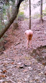 A Caminhada Nua e a Conseqüência de Pai-Chan